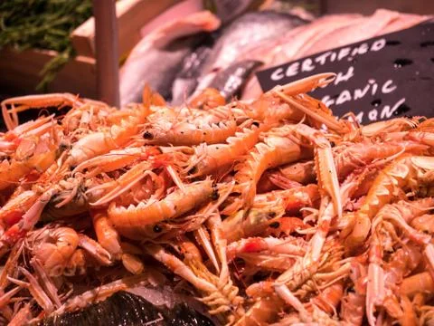Close-up of shrimps at a fish market Stock Photos