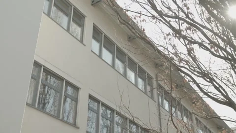 Close up of the side of a building with trees Stock-Footage 237520174