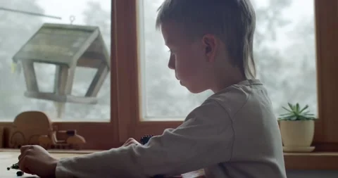 Close up side portrait of blonde boy sitting at table by window with flying Stock Footage 146477220