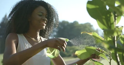Close-up side portrait of the charming afro-american girl with neutral lipstick Stock Footage 84506275