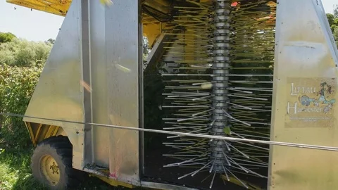 Close up of the side of a raspberry harvester on a farm at westerway, tasmania Stock Footage 73470325