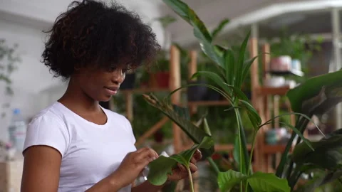 Close-up side view of attractive African-american young woman wiping dust with Stock Footage 170692190