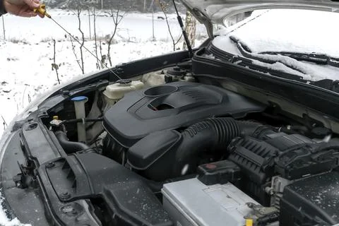 Close-up side view of auto mechanic man checking engine oil level in car, w.. Stock Photos