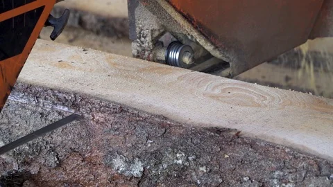 Close up side view of bandsaw cutting through a log to make lumber Vídeo Stock 107077627