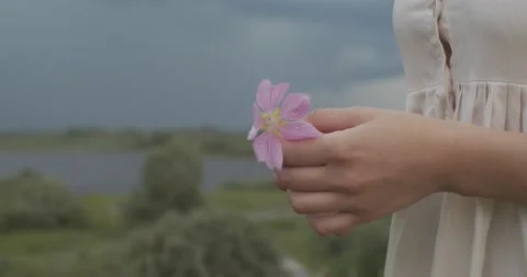 Close up side view of female hands holding wild flower trembling on wind on Stock Footage 138169087