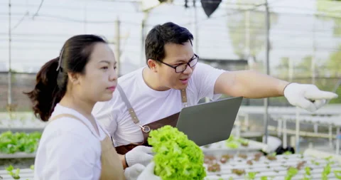 Close up, side view of happy young couple working in greenhouse  Stock-Footage 172057722