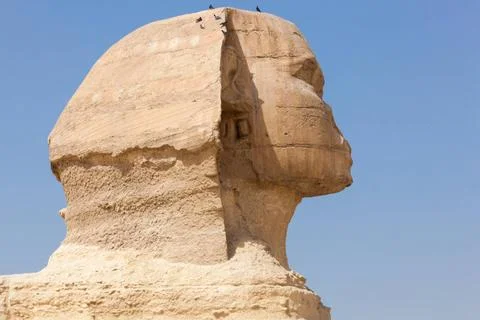  Close up of side view of Sphinx Cairo Close side view of the head of the ... Stock Photos