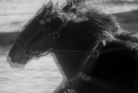Close-up side view of two harnessed horses galloping side by side, 1930s 스톡 동영상 95997273