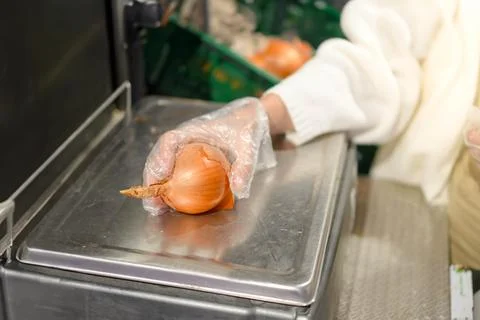 Close up side view of unrecognizable young woman placing an onion to weight in a 库存照片