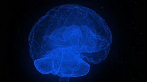 A close up of a sign Stock Footage 155219963
