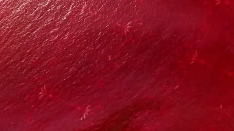 A close up of a sign Vídeos de archivo 155231552