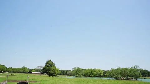A close up of a sign Video stock 155393893