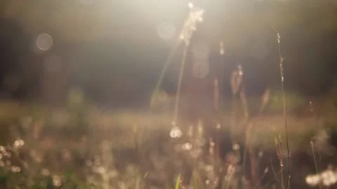 A close up of a sign Stock Footage 156849165