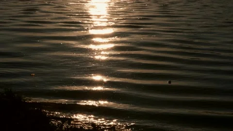 A close up of a sign 스톡 동영상 157872071