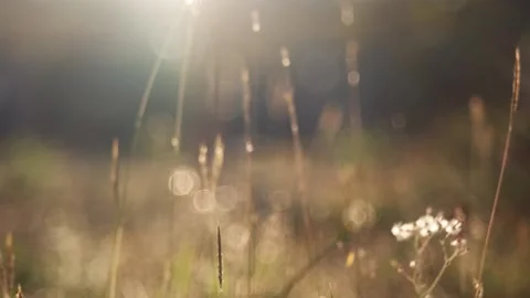 A close up of a sign Stock Footage 157872785