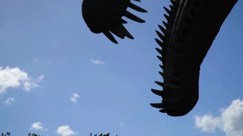 Close up silhouette head of dinosaur and big teeth scary terrifying scene Stock Footage 223979751