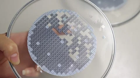 Close-up of a silicon wafer with diced microchip dies in a clear holder, showing Stock Footage 325977285