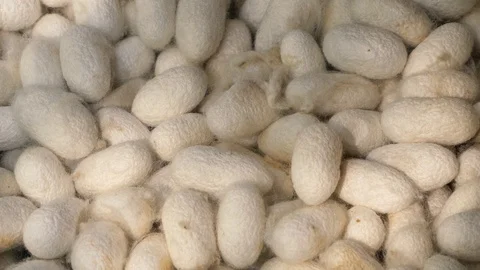 Close up for silk material. Video stock 126590111