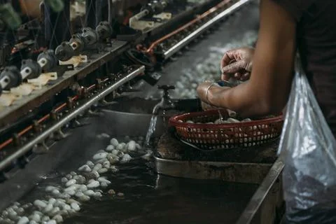 Close-up of silk worm factory processing with water sinks. Stock Photos
