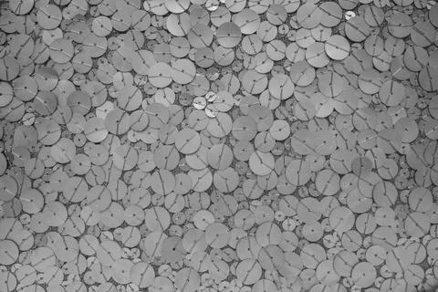 Close-up of silver sequin texture creating an abstract metallic circle pattern 스톡 사진