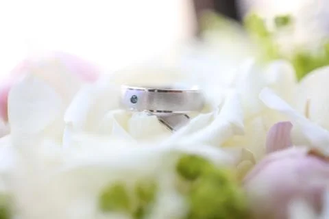 Close up of silver wedding rings Stock Photos
