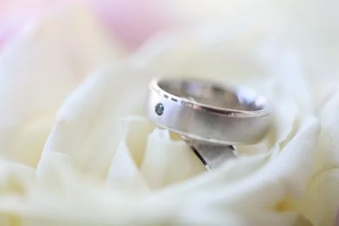 Close up of silver wedding rings Stock Photos