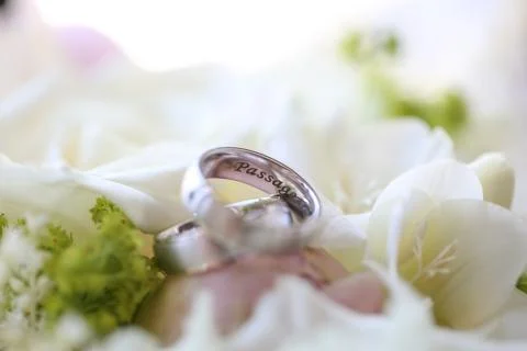 Close up of silver wedding rings Stock Photos