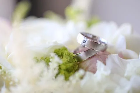 Close up of silver wedding rings Stock Photos