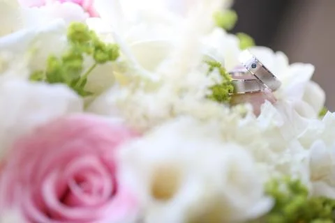 Close up of silver wedding rings Stock Photos