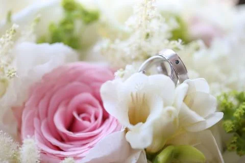 Close up of silver wedding rings Stock Photos