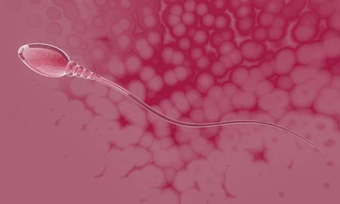 Close up simulates sperm for human reproduction Its head is slender, oval a.. Stock Illustration
