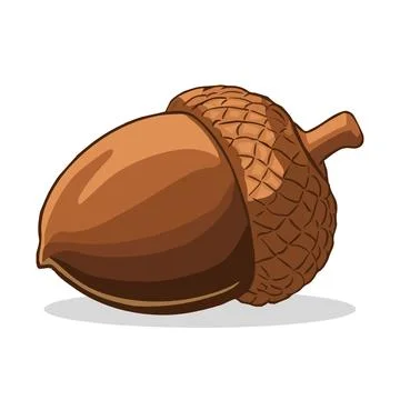 A close-up of a single acorn, showcasing its intricate details. The acorn i.. Stock Illustration