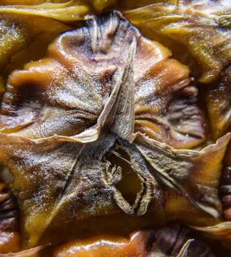 Close up of a single berry of the Pineapple fruit Stock Photos