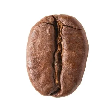 Close up of single coffee bean isolated on white background Stock Photos