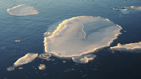 Close up of a single ice floe floating on deep blue sea water at sunrise. Stock Footage 329864726