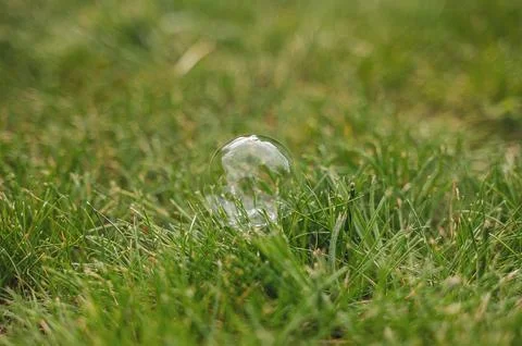 Close up of a single iridescent soap bubble resting on green grass in the s.. Stock Photos