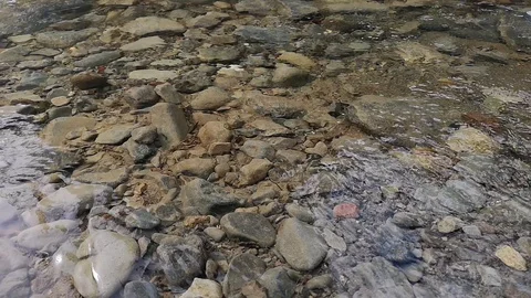 Close-up of a single leaf falling into the river water and gets carried Stock Footage 100549917