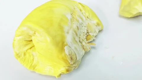 Close up of a single piece of ripe yellow durian flesh on white background. 스톡 동영상 339200038