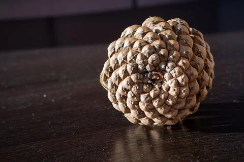Close-up of a single pine cone resting on a dark wooden table. Foto stock