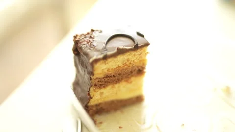 A close-up of a single slice of layered cake with smooth chocolate Stock Footage 330530137