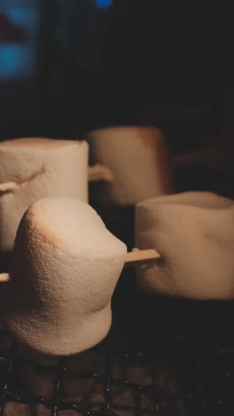 Close up of single toasted marshmallow skewered on wooden stick melting ove.. Stock Footage 343613677