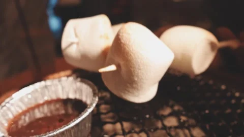 Close up of single toasted marshmallow skewered on wooden stick melting ove.. Stock Footage 343613685