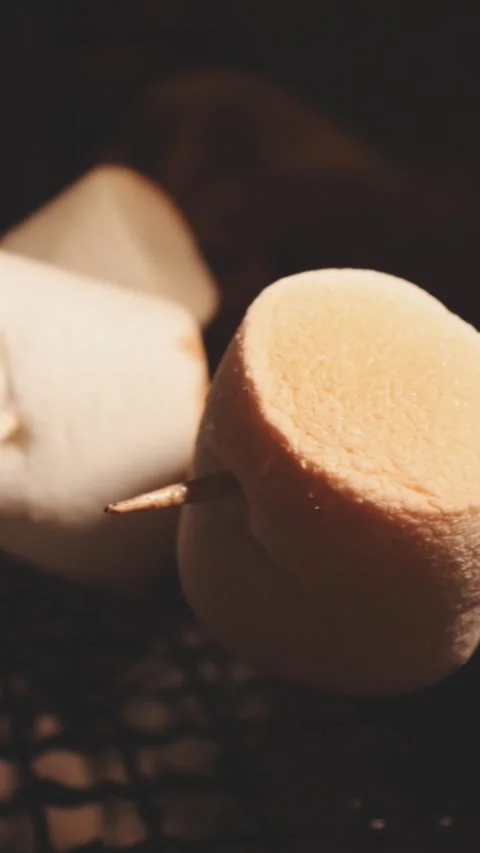 Close up of single toasted marshmallow skewered on wooden stick melting ove.. Stock Footage 343613692
