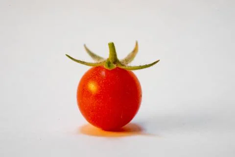Close-up of single wild tomato Stock Photos
