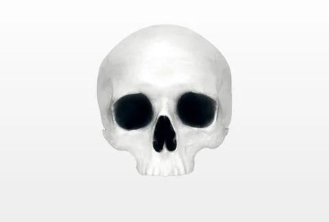 Close up of a skeleton on white background Stock Photos