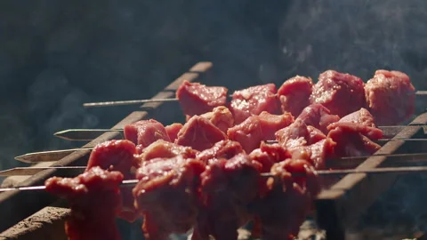 Close-up of skewered meat grilling over campfire with smoke at night. Outdoor Stock Footage 276710823