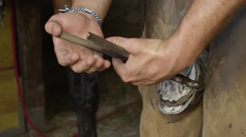 CLOSE UP: Skillful farrier removing excess length of horse hoof with nippers Stock Footage 67972427
