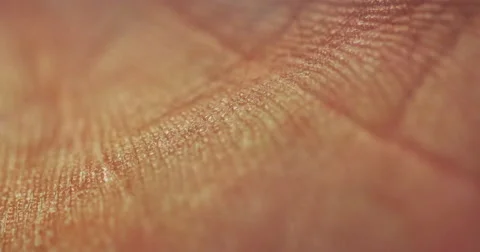 Close up of Skin Patterns 库存影片 41711421