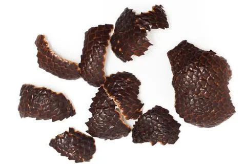 Close-up skin of snake fruit isolated on white background clipping path 스톡 사진