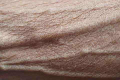 Close-up of skin texture and patterns Stock Photos